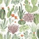 Essuie tout lavable Cactus