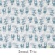 Sarouel (sweat)
